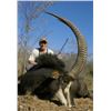 Image 1 : South Africa - 7 Day Hunt for 2 Hunters including trophy fee for Sable + $1000 Credit