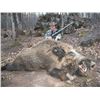 Image 1 : Upper Michigan - 4 Day/3 Night Cast & Blast Package for 2 Hunters for Boar and Fishing
