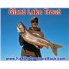 Image 2 : Upper Michigan - 4 Day/3 Night Cast & Blast Package for 2 Hunters for Boar and Fishing