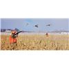 Image 1 : South Dakota - 6 Person 4 Night/3 Day All Inclusive Pheasant Hunt