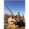 Image 1 : New Mexico - 7 Nights/5 Hunting Days for 1 Hunter for Trophy Oryx