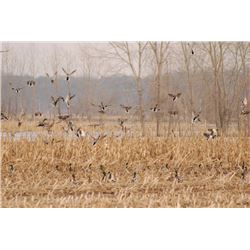 Missouri - 3 Day/3 Night Duck & Goose Hunt for 2 Hunters