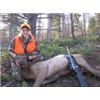 Image 3 : Colorado - 4 Day/4 Night Cow Elk & Trout Fishing Hunt for 1 Hunter