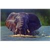 Image 1 : Framed Original Acrylic on Canvas - Elephant in Kruger National Park