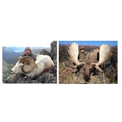 Yukon -  Big Game Slam Including Stone Sheep, Caribou, Grizzly & Moose