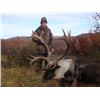 Image 2 : Yukon -  Big Game Slam Including Stone Sheep, Caribou, Grizzly & Moose