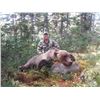 Image 4 : Yukon -  Big Game Slam Including Stone Sheep, Caribou, Grizzly & Moose