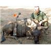 Image 1 : South Africa - 8 Day Hunt for 2 Hunters Including Trophy Fees