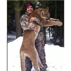 Idaho - 7 Day Mountain Lion Hunter for 1 Hunter and 1 Non-Hunter