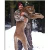 Image 1 : Idaho - 7 Day Mountain Lion Hunter for 1 Hunter and 1 Non-Hunter