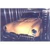 1952 STUDEBAKER CUSTOM