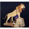 Image 4 : TAXIDERMY CREDIT FOR $4000
