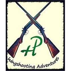 ARGENTINA DOVE HUNT FOR FOUR