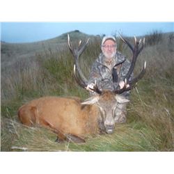NEW ZEALAND RED STAG HUNT