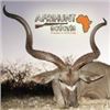 Image 2 : NAMIBIAN PLAINS GAME SAFARI