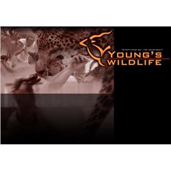 TAXIDERMY CREDIT FOR $3500