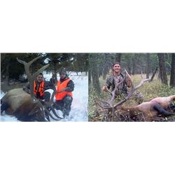 2018 MONTANA ROCKY MOUNTAIN RIFLE OR ARCHERY ELK HUNT