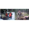 Image 1 : 2018 MONTANA ROCKY MOUNTAIN RIFLE OR ARCHERY ELK HUNT