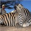 Image 3 : AFRICAN PLAINS GAME SAFARI WITH $2500 TROPHY FEE CREDIT