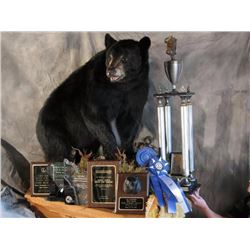 TAXIDERMY CREDIT FOR $2000