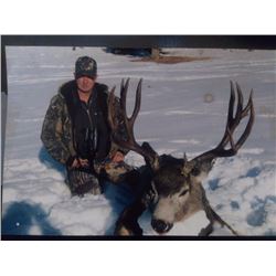 BRITISH COLUMBIA MULE DEER HUNT FOR TWO HUNTERS