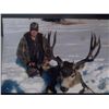 Image 1 : BRITISH COLUMBIA MULE DEER HUNT FOR TWO HUNTERS