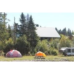 SPRING OR FALL CANADIAN BLACK BEAR HUNT FOR TWO