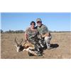Image 3 : South African Plains Game Safari for Two Hunters