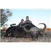 Image 4 : South African Plains Game Safari for Two Hunters
