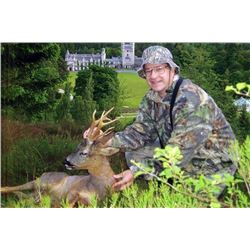 Scottish Royal Estate Roe Deer Hunt for One Hunter