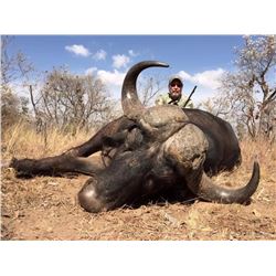 Sable Bull Safari with Cape Buffalo Option