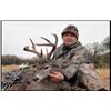 Image 4 : Desert Mule Deer or Coues Deer Hunt - 2 for 1