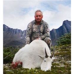 British Columbia Mountain Goat Hunt for One Hunter
