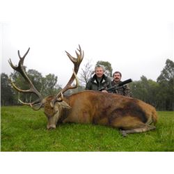 Scottish Red Stag Hunt for One Hunter