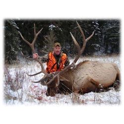 Elk Hunt in Gardiner Montana for One Hunter