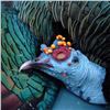 Image 2 : Ocellated Turkey in Mexico