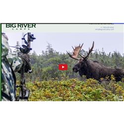 Canadian Moose Hunt