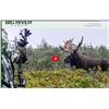 Image 1 : Canadian Moose Hunt