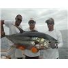 Image 4 : Costa Rica or N. Carolina Fishing Trip or Argentina Dove Hunt For 4 People