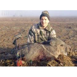 Arizona Javelina & Predator Hunt - 2 for 1