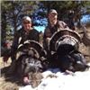 Image 3 : Wyoming Spring Turkey Hunt