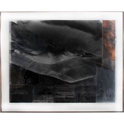 Ellen Garvens, Folded Bird Gannet, Acrylic, Graphite and Photo-Collage