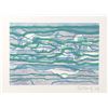 Image 1 : Gabor Peterdi, from the Hawaii Series, Aquatint Etching