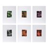 Image 1 : Peter Schuyff, Lot of 6 Abstract Aquatint Etchings