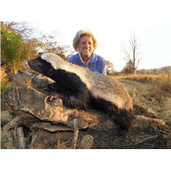 Honey Badger + Brown Hyena Hunt