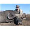 Image 10 : Buffalo Hunt in Tanzania