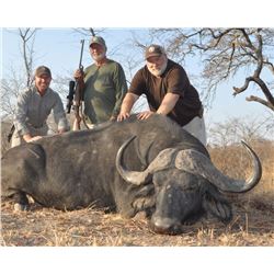 Buffalo Hunt in Tanzania