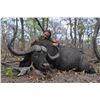 Image 5 : Buffalo Hunt in Tanzania