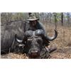 Image 6 : Buffalo Hunt in Tanzania