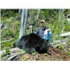Image 2 : Coastal Black Bear Hunt and a Custom 30-06